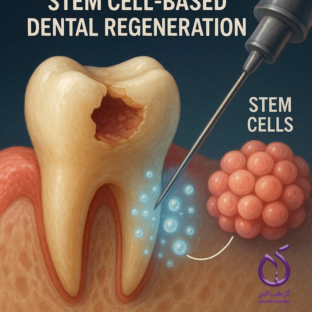 The use of stem cells in dental regeneration and repair