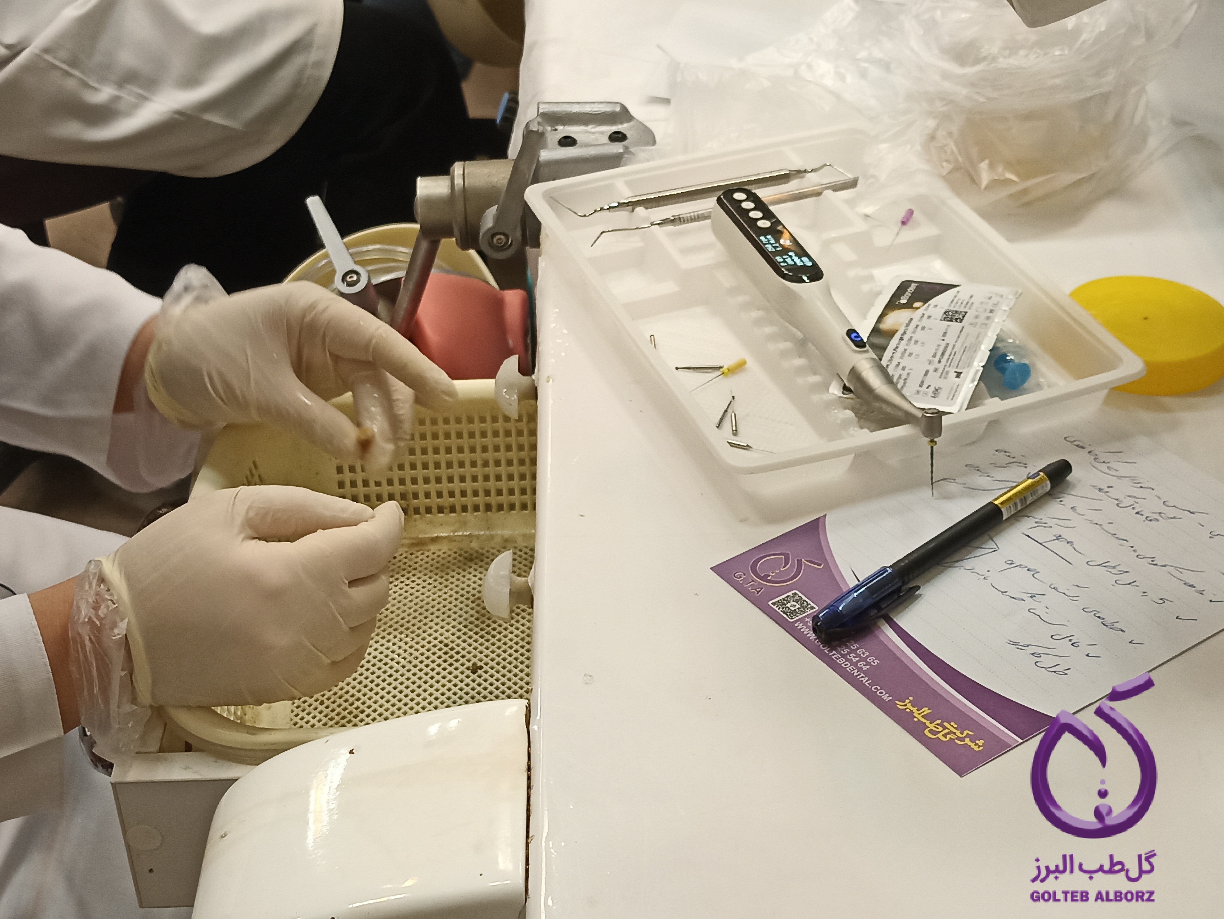 Endodontics workshop at Kashan Dental School, sponsored by Gol Teb Alborz