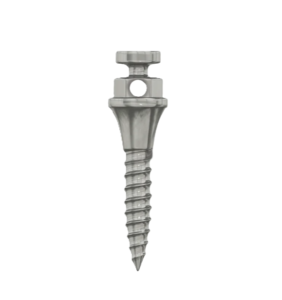Micro Implant China UDG Brand