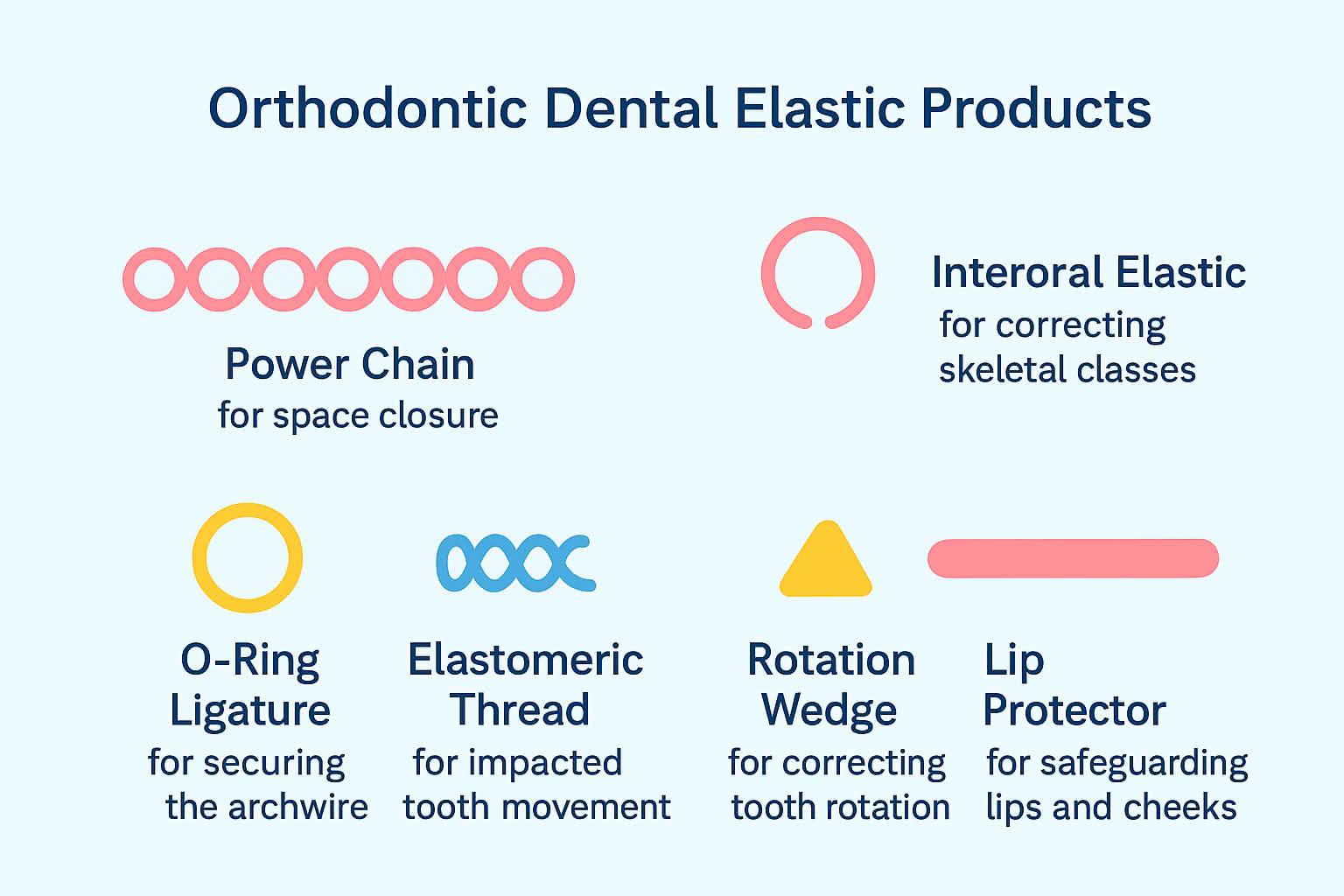 orthodontic elastics